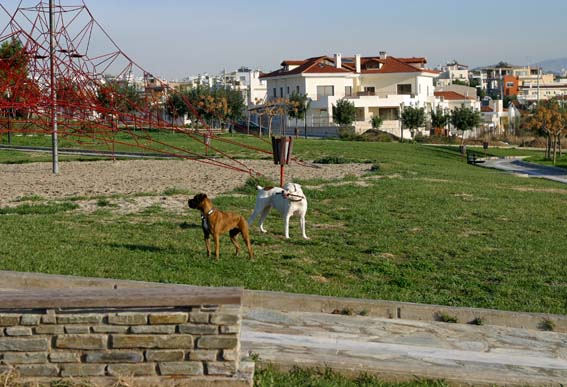 Avra and Gilda