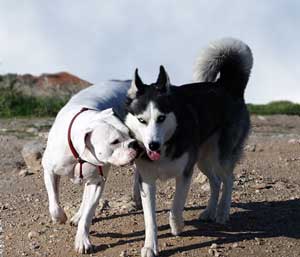 Avra and her friend Ermis