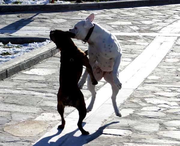 Avra and her friend Gilda dancing