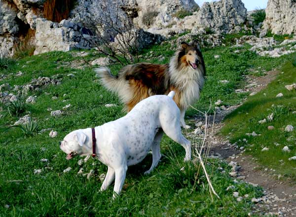 Avra and Riko