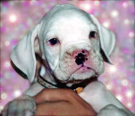 Avra at 7 weeks