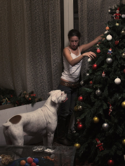 Avra helps decorate the Christmas tree