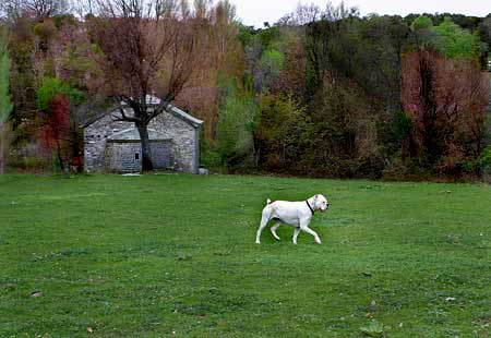 Avra walking proudly