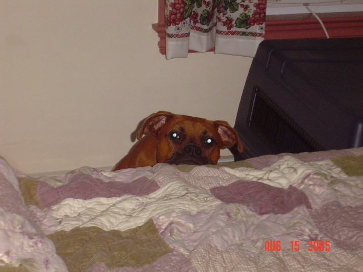 Aw ma, can't I just get into bed with you??