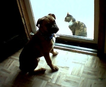 aw mom please!! i just want to play.