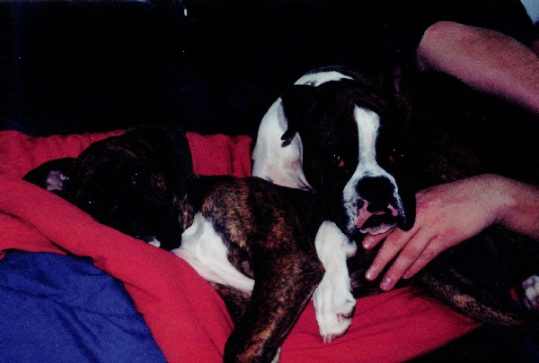 Aww..so cute together