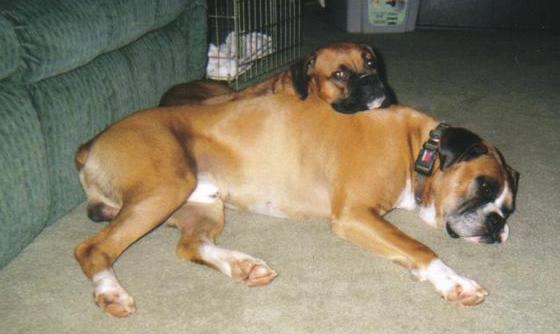 Awww blue and jade