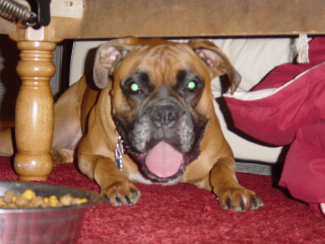 Awww....let me eat!