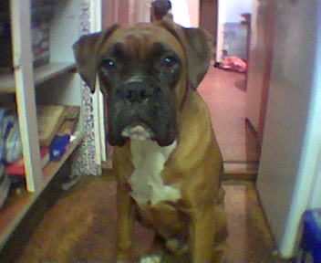 Awww where's my chicken daddy?