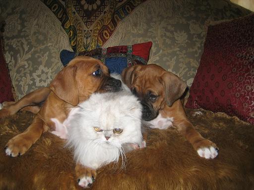 AWWW!!!