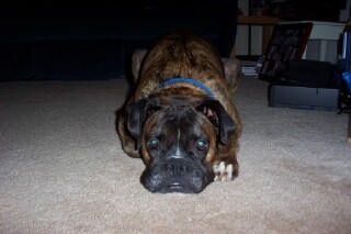 Awwww, Bubba!