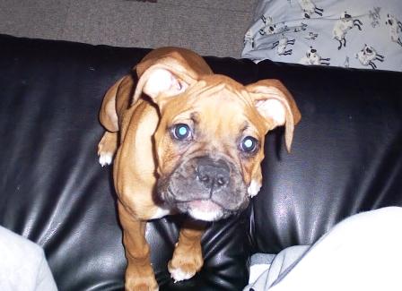 AWWWW ...look at my smooshy face...