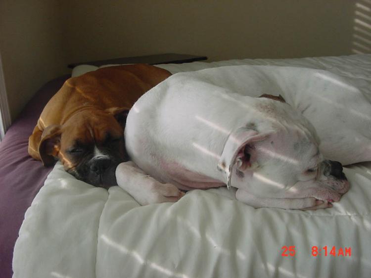 Awwww, so sweet.