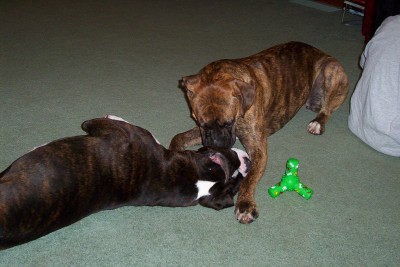 Awwww, sweet!