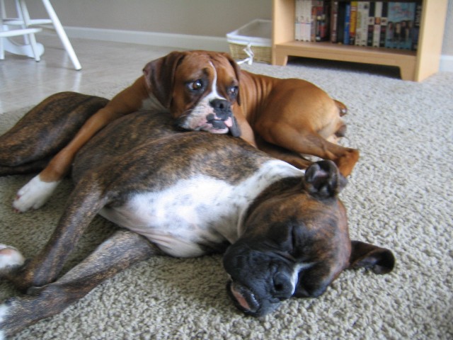 awwww.