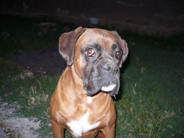 Axel 2