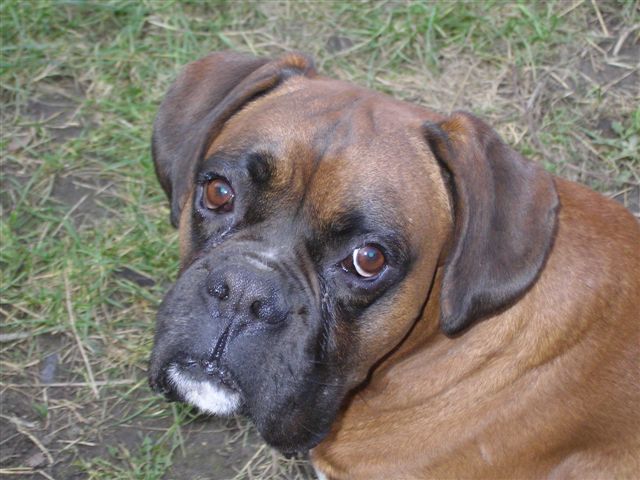 Axel 3