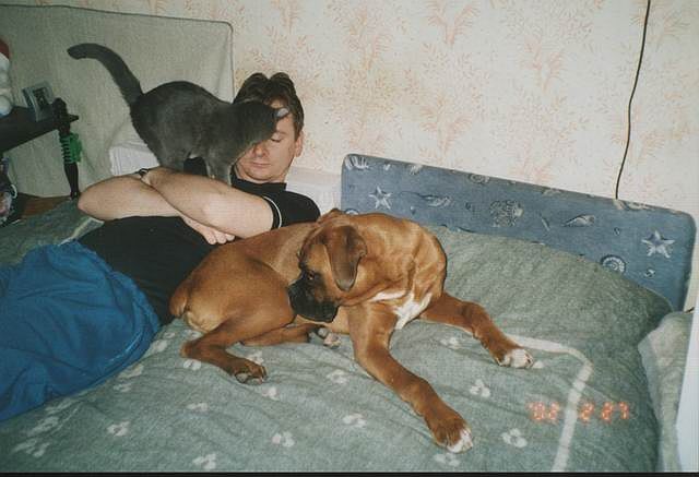 Axel, Kesztyu, daddy