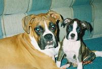 Axel & Sampson