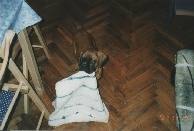 Axel stole the bathmat.