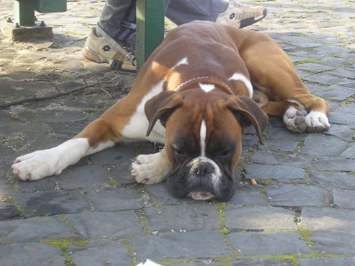 Axel takes a break