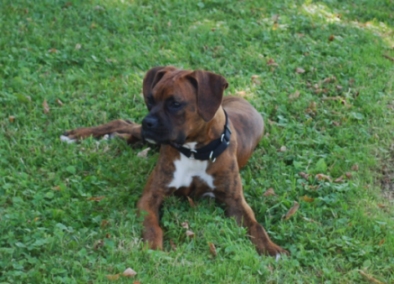 Axel taking it easy