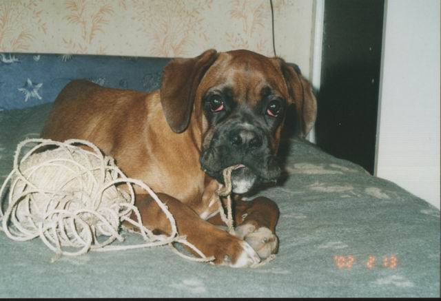 Axel with his favourite toy.