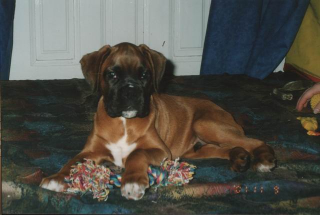 Axel with his toy