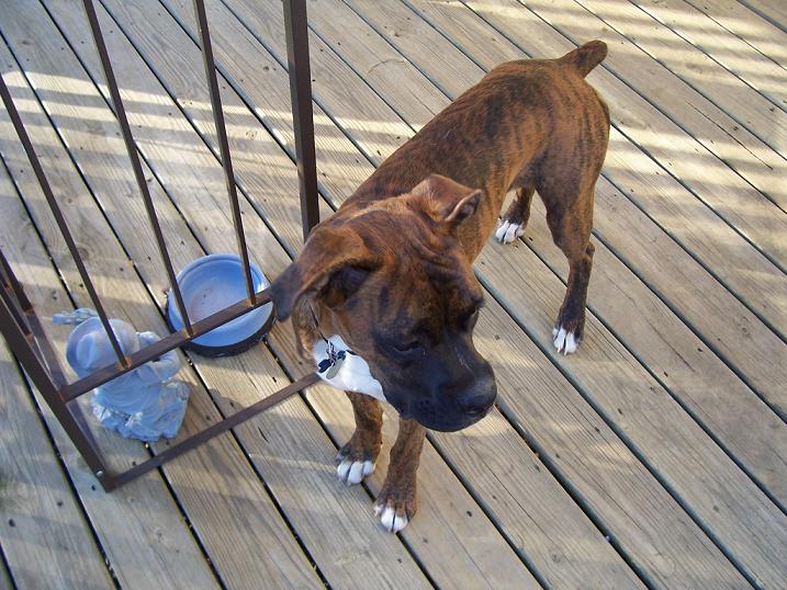 Axle_6_months_007