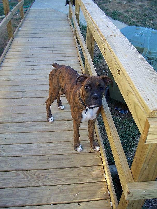 Axle_6_months_008