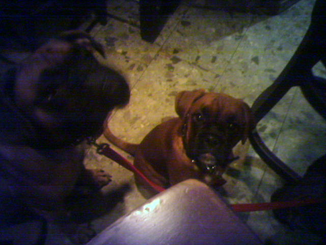 AZZY AND NELLY