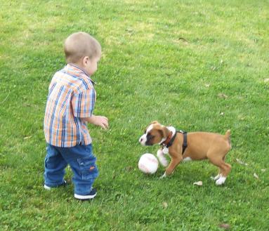 Babies playin baseball
