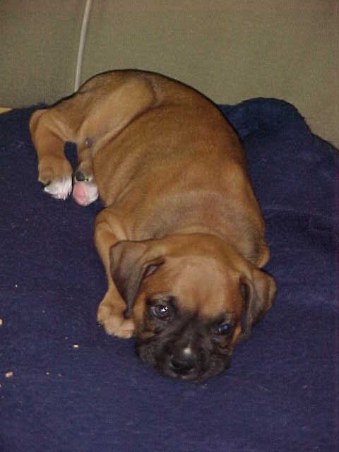 Baby Ali at 6 weeks