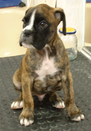 Baby Aragon... So cute!