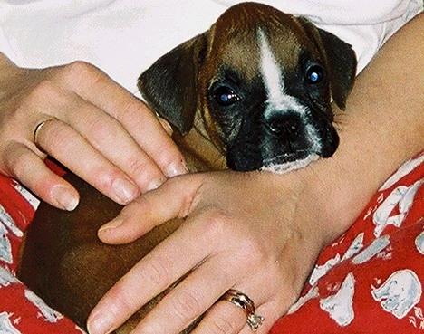 Baby Barkley