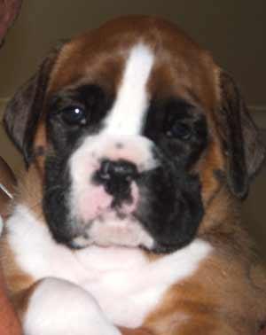 baby baxter at 6 weeks