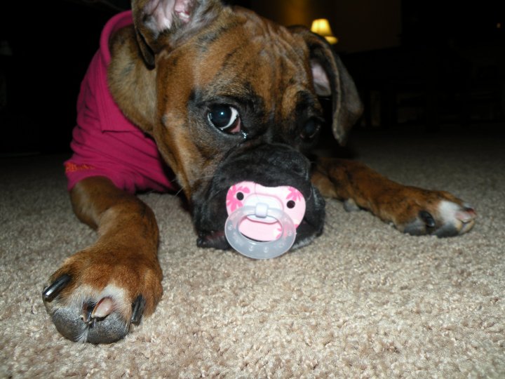 Baby Belle