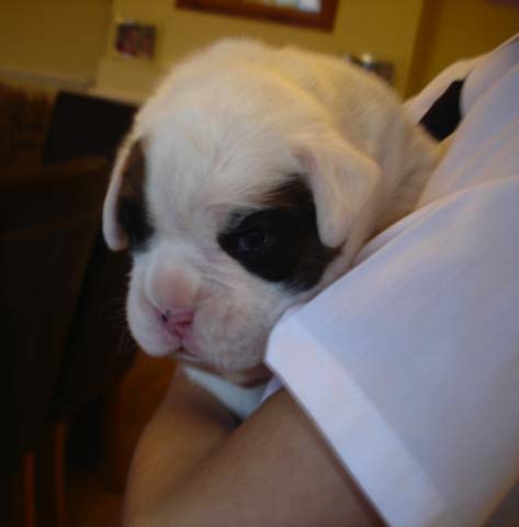 Baby boy 2.