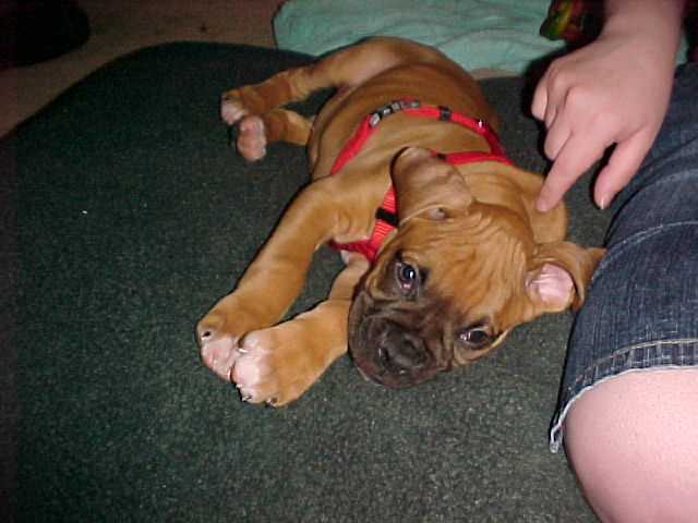 Baby Boy 2