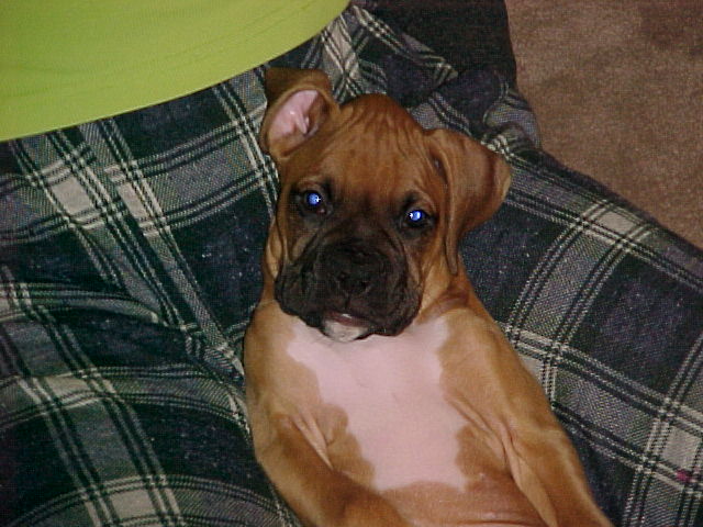 Baby Boy