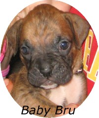 baby bru 5 weeks