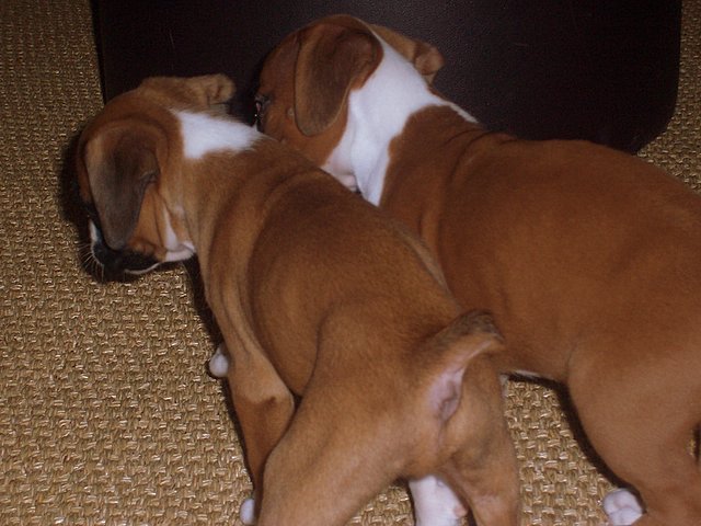 Baby Butt!