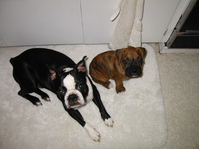 Baby Church with Brother Parker