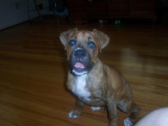 Baby Drake