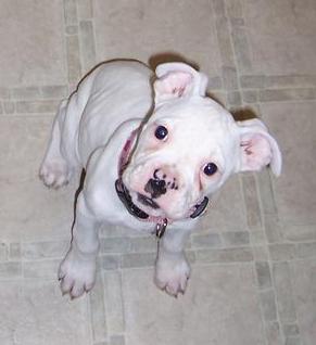 Baby Ellie