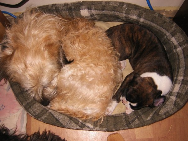 Baby Ema with her brother