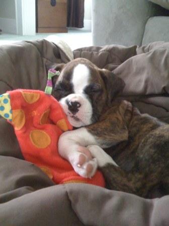 Baby Emma