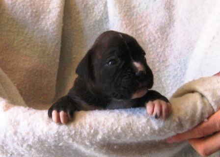 Baby Eva at 2 Weeks