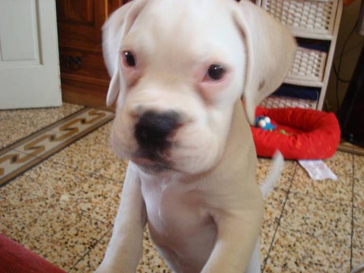 Baby Fiona