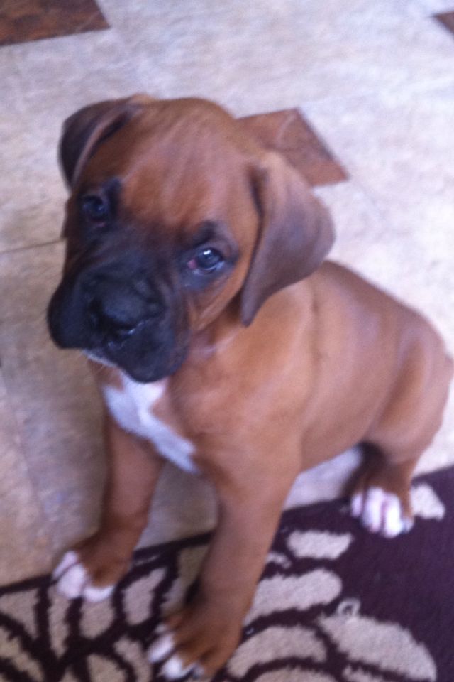 Baby George